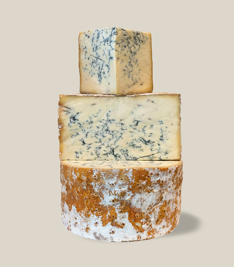 Stilton Colston Basset queso azul leche de vaca pasteurizada formaje