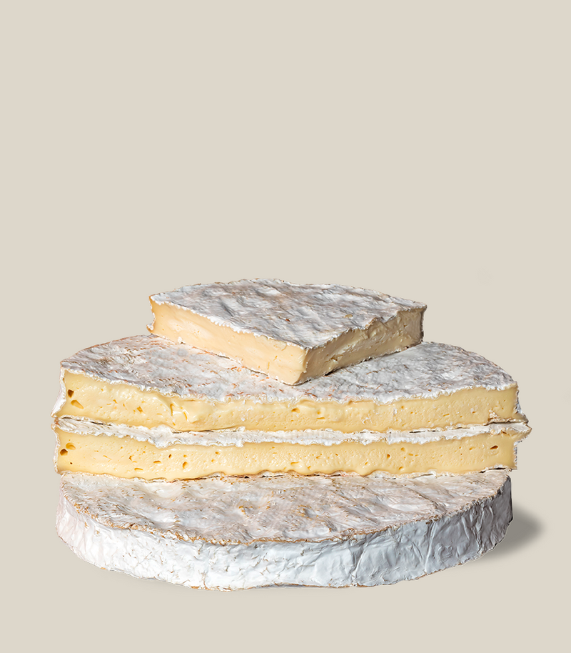 Brie de Meaux DOP