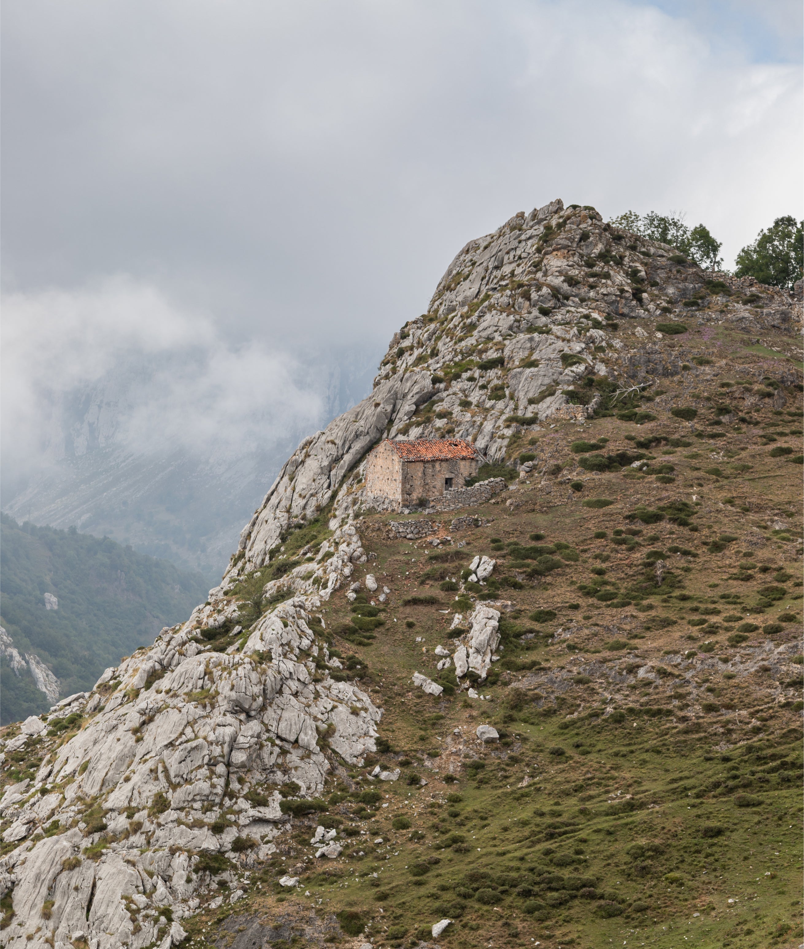 Cabrales DOP El Teyedu