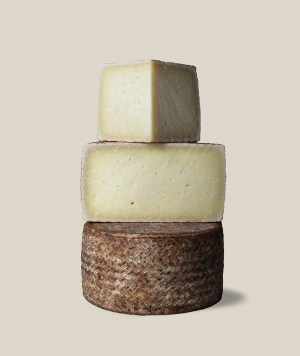 Queso Manchego Añejo DOP