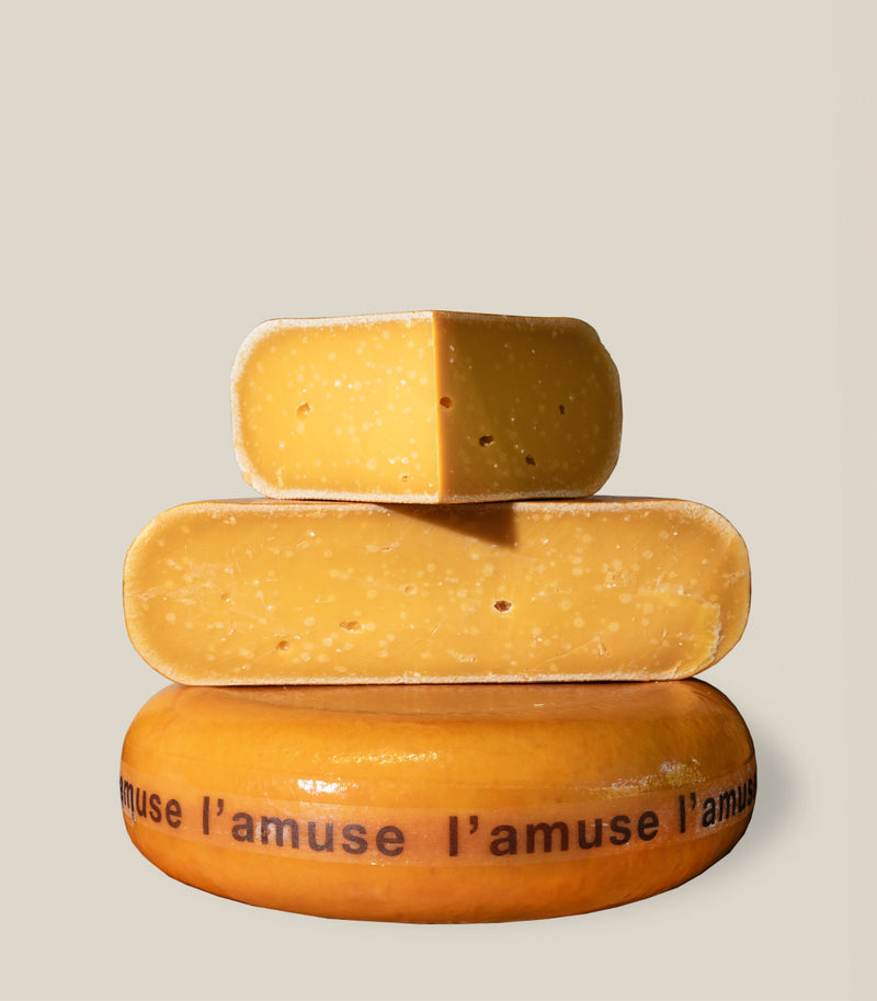Gouda de vaca