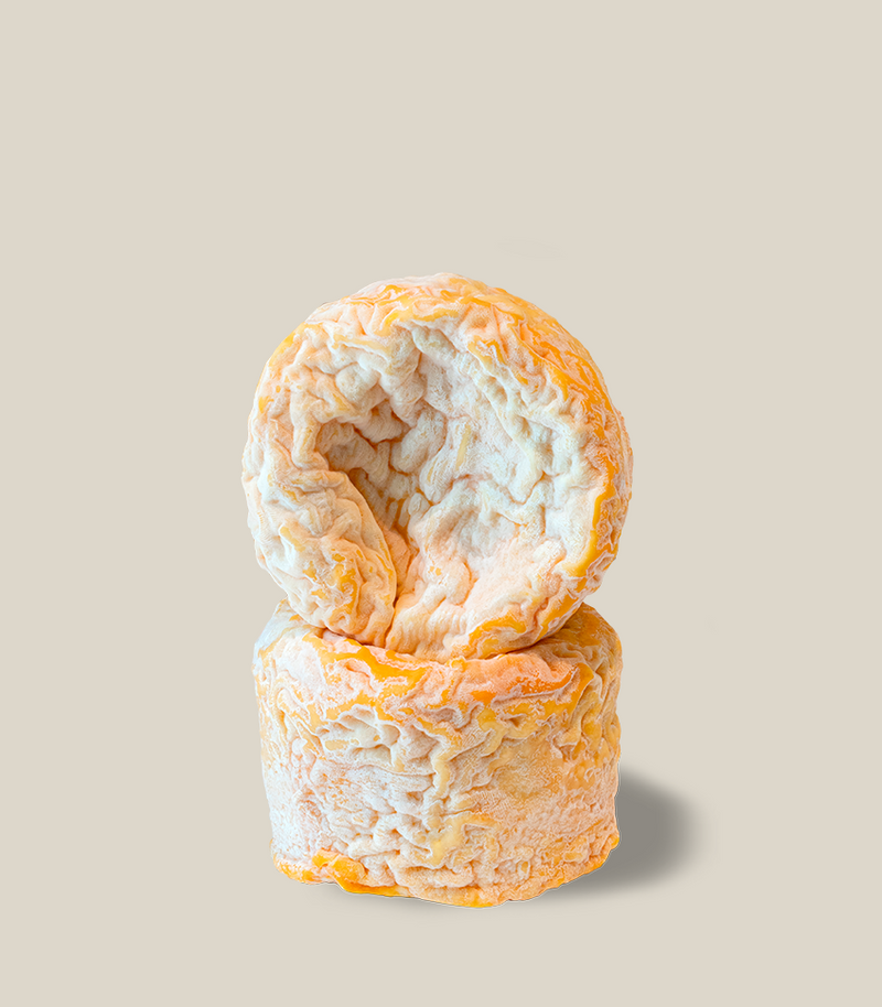 Langres