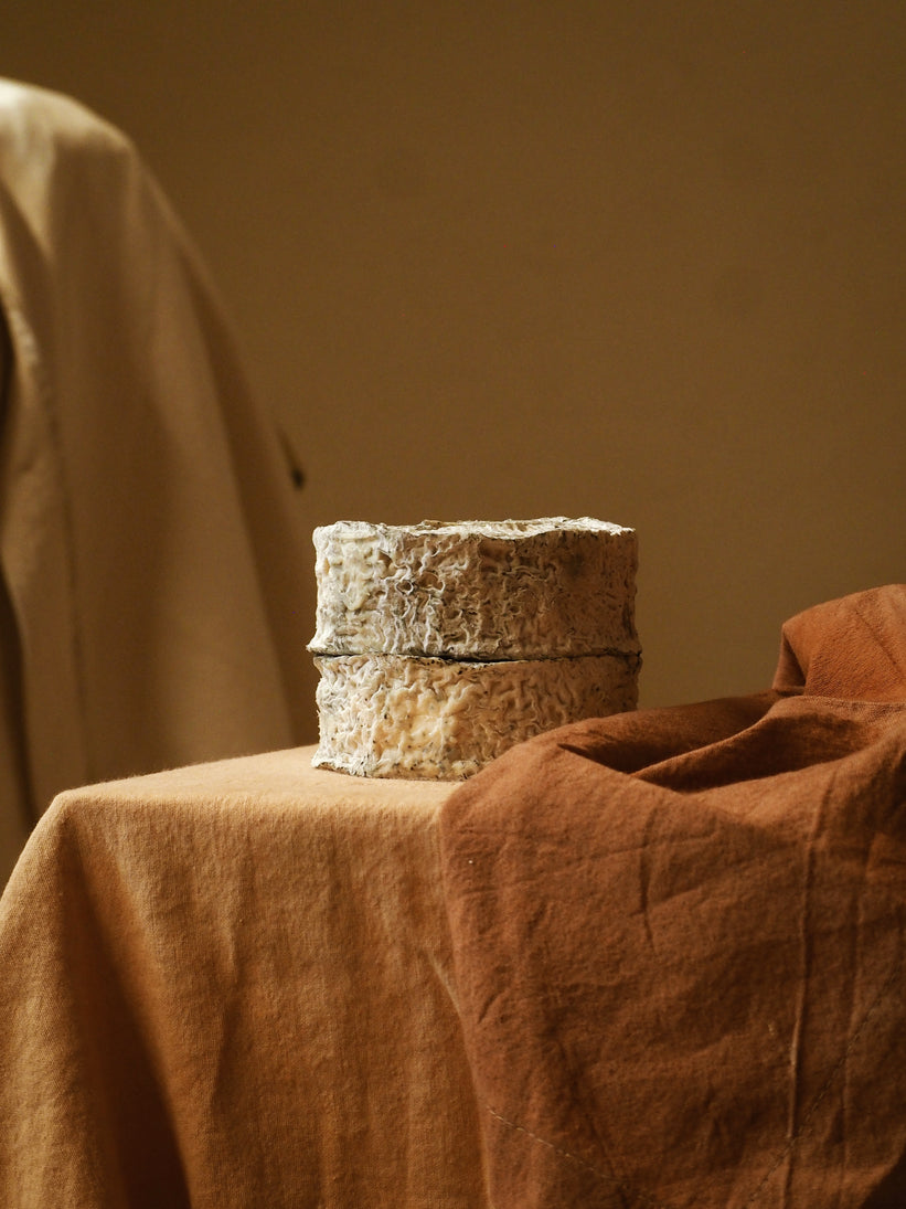 Rouelle du Tarn BIO queso leche cabra cruda blando corteza enmohecida formaje